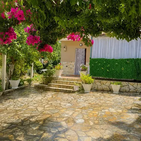 Troi 01 Vlorë